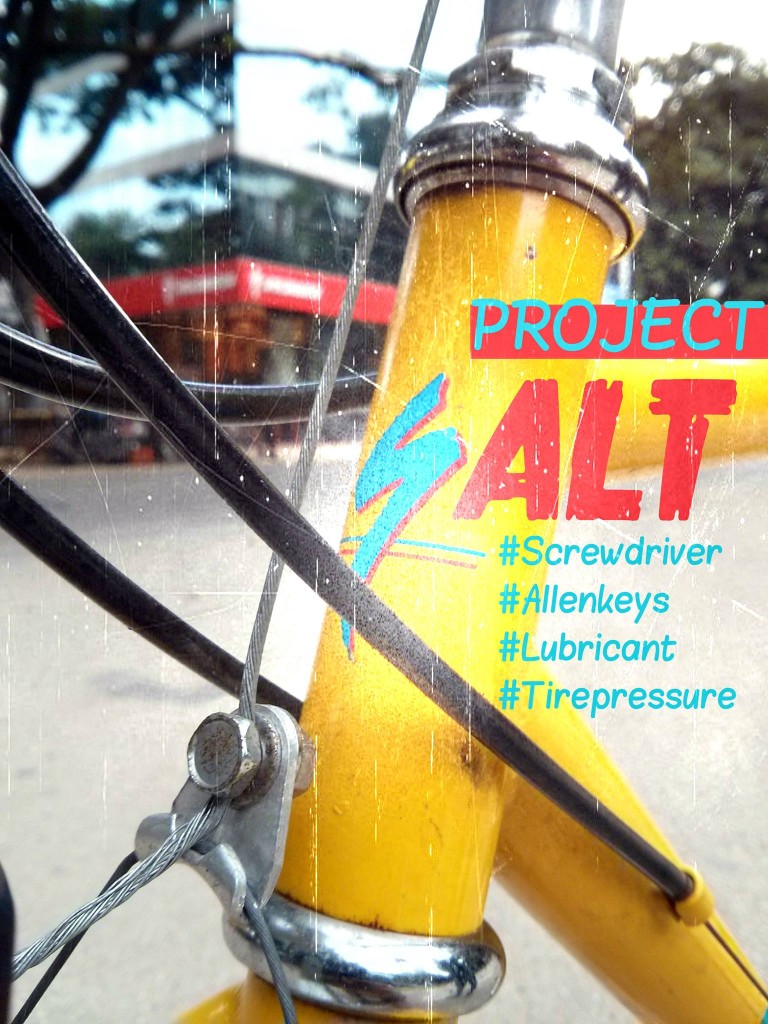 project salt!